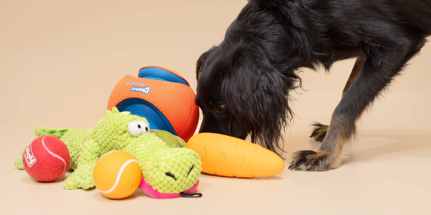 TOYS AND ACCESSORIES